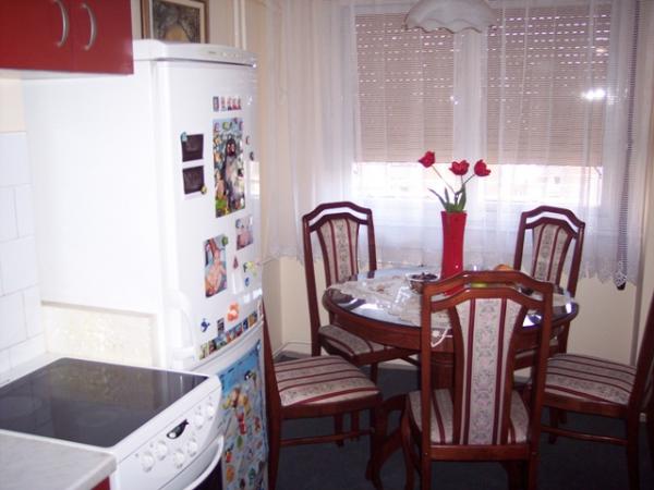 Slika 5 - Jurija Gagarina, Dvosoban stan za izdavanje, 55m2, 550€